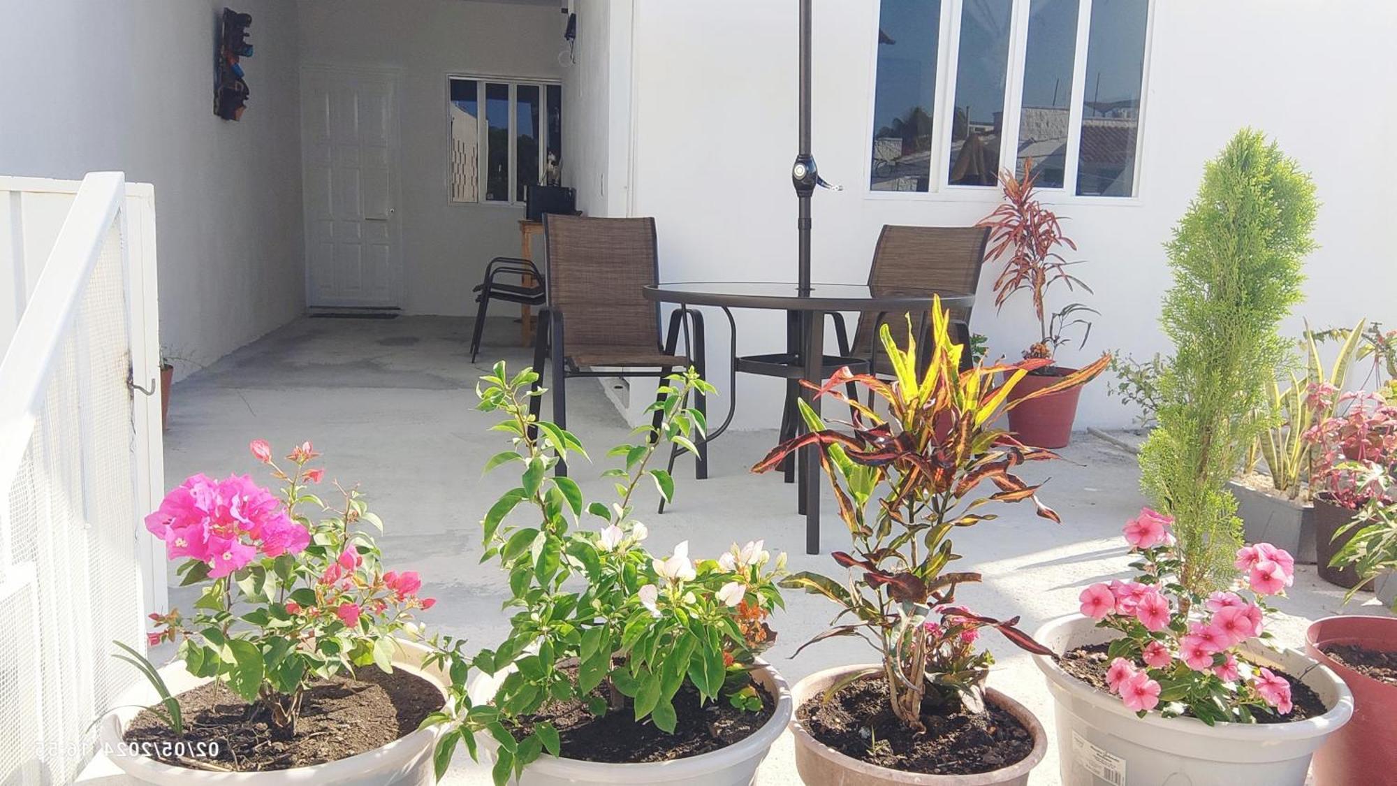 Tierra Maya Ξενοδοχείο Πλάγια Ντελ Κάρμεν Εξωτερικό φωτογραφία